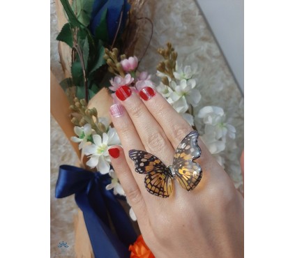 انگشتر پروانه