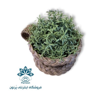فنجان نعلبکی حصیری 