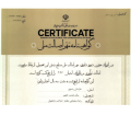 خودکار چوبی RSM