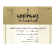 خودکار چوبیRSM رزوود