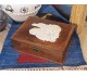 جعبه یادمان فردوسی